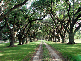 Beaufort, SC