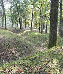 Rivers Bridge State Park breastworks